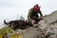 Kentucky Air National Guard Master Sgt. Rudy Parsons, a 123rd Special Tactics Squadron pararescueman, and Callie, his search-and-rescue K-9, comb through rubble for simulated victims while conducting confined-space rescue training at the Anchorage Fire Training Center in Anchorage, Alaska, September 10, 2021. (U.S. Air Force photo by Alejandro Pe&ntilde;a). Original public domain image from Flickr