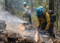 Jacob Maldonado, right, and Martin Norment, Blue Ridge Hot Shots, cut up a tree while fighting the Dixie Fire, Lassen National Forest, California. USDA Forest Service photo by Cecilio Ricardo. Original public domain image from Flickr