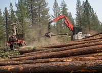 Heavy construction vehicles thin the forest as a fire suppression technique during the Dixie Fire in Lassen National Forest, California. USDA Forest Service photo by Cecilio Ricardo. Original public domain image from Flickr