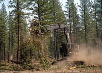 Heavy construction vehicles thin the forest as a fire suppression technique during the Dixie Fire. Original public domain image from Flickr