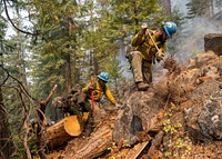 Blue Ridge Hot Shots dig a fireline on a steep-sloped mountain to suppress the Dixie Fire in Lassen National Forest, California. USDA Forest Service photo by Cecilio Ricardo. Original public domain image from Flickr