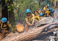 Blue Ridge Hot Shots cut trees and dig a fireline on a steep-sloped mountain to suppress the Dixie Fire in Lassen National Forest, California. USDA Forest Service photo by Cecilio Ricardo. Original public domain image from Flickr