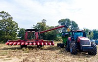 Harvesting popcorn, farming process. Original public domain image from Flickr