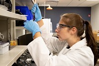 Scientists with CBP Laboratories and Scientific Services conduct drug testing at the Port of Memphis Forward Operating Laboratory, July 22, 2021. CBP photo by Jerry Glaser