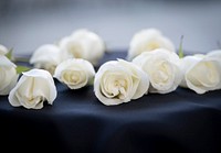 White roses, CBP Valor Memorial. Original public domain image from Flickr