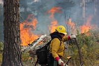 Upper White River Restoration Area controlled burn, photos courtesy of Mt. Adams Resource Stewards. Original public domain image from Flickr