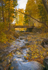 Autumn stream, nature view. Original public domain image from Flickr