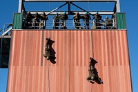 Spartan paratroopers and Indian Army troops share rappel techniques during Yudh Abhyas 21 in Alaska, October 21, 2021. Original public domain image from Flickr