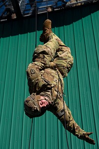 Spartan paratroopers and Indian Army troops share rappel techniques during Yudh Abhyas 21 in Alaska, October 21, 2021. Original public domain image from Flickr