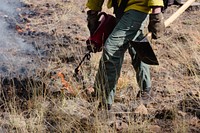 Flagstaff Prescribed Fire Training Exchange (TREX).