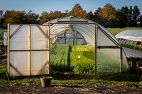 Varieties of specialty vegetables in the greenhouse. Original public domain image from Flickr