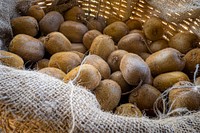 Freshly harvested kiwi fruits. Original public domain image from Flickr