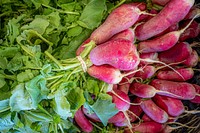 Fresh radishes, vegetable farm. Original public domain image from Flickr