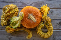 Harvested pumpkins & squash. Original public domain image from Flickr
