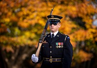 The 68th National Veterans Day Observance at Arlington National Cemetery. Washington, D.C., November 10, 2021. Original public domain image from Flickr