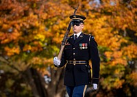 The 68th National Veterans Day Observance at Arlington National Cemetery. Washington, D.C., November 10, 2021. Original public domain image from Flickr