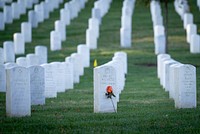 Veterans Day Observance, National Cemetery. Original public domain image from Flickr