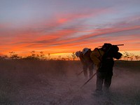 The Jackson Hotshots construct a fireline on the Moonfish Fire in the Everglades National Park in Florida. Original public domain image from Flickr