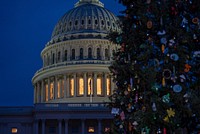 Christmas tree at the Capitol Building. Original public domain image from Flickr