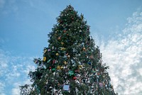 Decorated Christmas tree during daytime. Original public domain image from Flickr