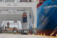 Containers are lifted off a container ship by quay cranes, at the Port of Savannah.