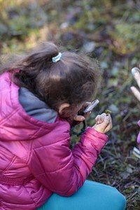 Student with a Magnifying GlassEducation program at Big Meadows with a third grade group. The activities revolved around the theme adaptations.