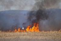 2021 USFWS Fire Employee Photo Contest Category: Fuels ManagementA prescribed fire burns at Shawangunk Grasslands National Wildlife Refuge in New York in 2021. Jared Green, FWS