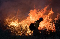 2021 USFWS Fire Employee Photo Contest Category: Fire Personnel - WinnerA USFWS firefighter walks by a prescribed fire in Browns Park National Wildlife Refuge in 2021. Photo by Rachel Portwood, FWS