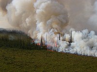 2021 USFWS Fire Employee Photo Contest Category: Landscape and FireA wildfire burns on Tetlin National Wildlife Refuge in Alaska.