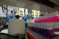 NMRC's Naval Infectious Diseases Diagnostic Laboratory 220126-N-GC612-1058SILVER SPRING, Md. (Jan. 26, 2022) - Victor Sugiharto and Stephanie Gatrell, research scientists with Naval Medical Research Center (NMRC) review patient information before testing diagnostic samples in the Naval Infectious Diseases Diagnostic Laboratory (NIDDL). NMRC’s NIDDL is the Navy’s Clinical Reference Laboratory, capable of testing for non-routine infectious diseases affecting our warfighter. (U.S. Navy photo by Michael Wilson/Released)