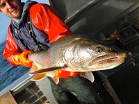 Monitoring Fish on the Great LakesGreat Lakes Indian Fish & Wildlife Commission collecting a Lake Trout in support of the EPA Great Lakes Fish Monitoring and Surveillance Program (Photo Credit: Bill Mattes, GLIFWC)