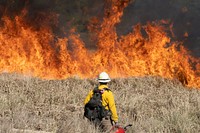 Firefighter and wildfire.