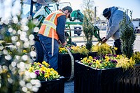 City of Greenville Public Works installs planters across the Uptown area on Monday, March 21. Original public domain image from Flickr