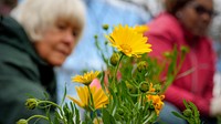 Volunteers, including Ms. Christie Vilsack, help plant flowers and vegetables in the People’s Garden outside of USDA Headquarters in Washington, D.C., April 1, 2022.(USDA/FPAC photo by Preston Keres)