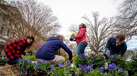 Volunteers, including Ms. Christie Vilsack, help plant flowers and vegetables in the People’s Garden outside of USDA Headquarters in Washington, D.C., April 1, 2022.(USDA/FPAC photo by Preston Keres)