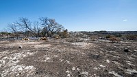 Das Goat Fire damage, south of Medina Lake and West of San Antonio, TX, on April 2, 2022. The point of ignition was a disabled vehicle that pulled off of County Road 271 and caught fire. The fire proceeded to the north and northeast. The fire is now 100 percent contained and consumed 1,092 Acres of grass and shrubs. U.S. Department of Agriculture USDA Forest Service FS wildland hotshot firefighters from California were are on the hillside to check for and put out hotspots in remaining embers of burnt trees and brush.USDA Media by Lance Cheung.