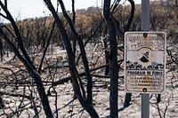 The Das Goat Fire charred trees and shrub, in a residential area, near Mico, TX, south of Medina Lake and West of San Antonio, on April 2, 2022.