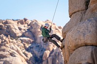 Climber steward rappelling in Hidden Valley Campground