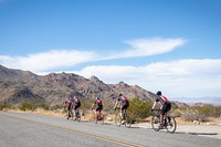 Cyclists on road