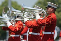 US Naval Academy marching band, May 26, 2021. Original public domain image from Flickr