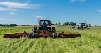 Roller crimper terminating cover crops. Original public domain image from Flickr