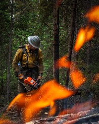 Muddy Slide Fire. Wyoming Hotshot operates a chainsaw on the Muddy Slide Fire in Colorado. Photo by Kyle Miller, Wyoming Interagency Hotshots. Original public domain image from Flickr