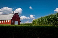 Red barn in corn field. Original public domain image from Flickr