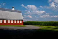 Red barn in corn field. Original public domain image from Flickr