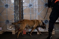 Sniffer dog, product inspection. Original public domain image from Flickr