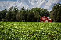 Red barn, countryside farm. Original public domain image from Flickr