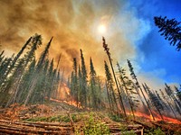 Summit Trail Fire. Original public domain image from Flickr