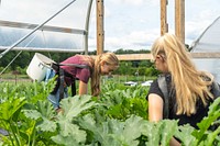 Aila Kingma (left) and Faith Anema harvest zucchini at Perkins' Good Earth Farm July 2, 2021. (NRCS Photo by Brandon O'Connor). Original public domain image from Flickr