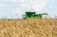 Wheat harvesting season. Original public domain image from Flickr