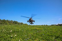 Helicopter above flower meadow.